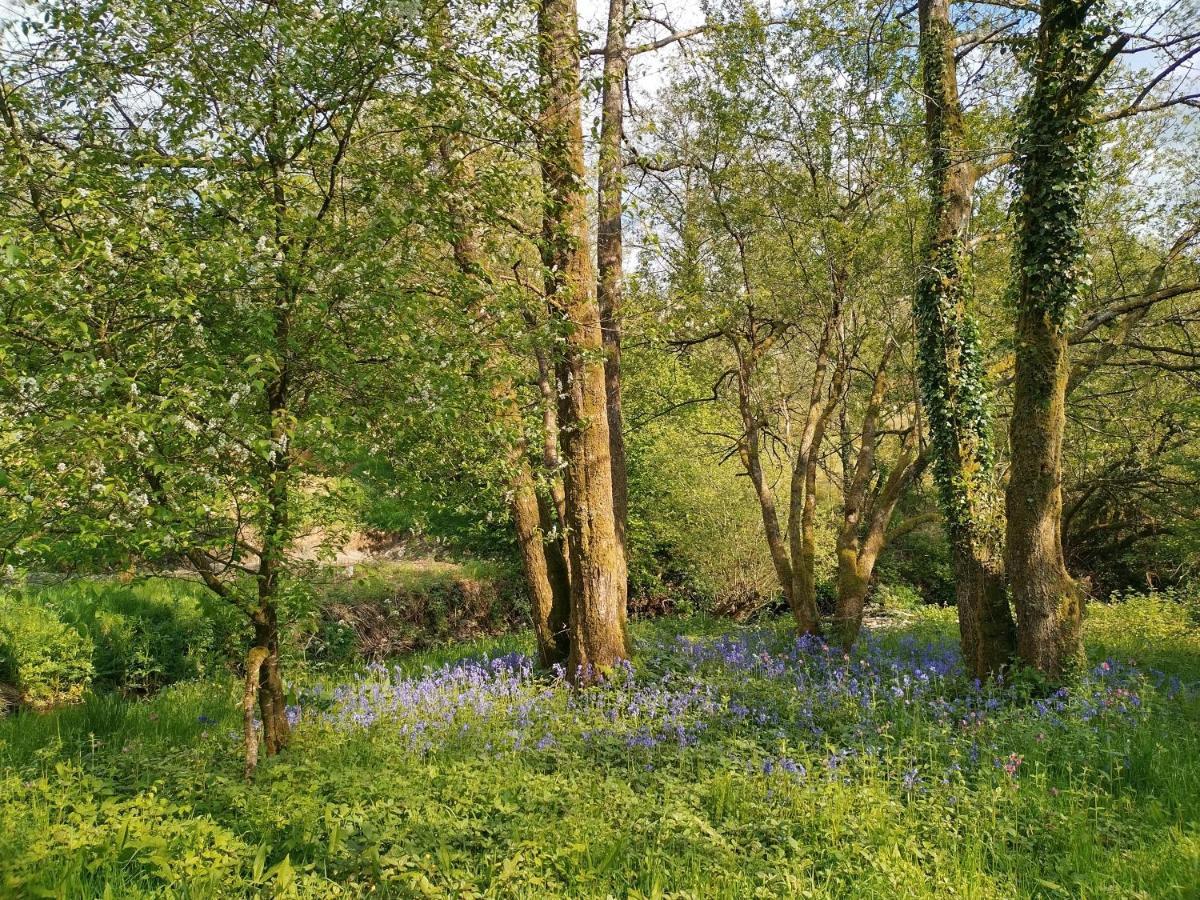 Oak Tree Farm Hotel Llanfynydd ภายนอก รูปภาพ
