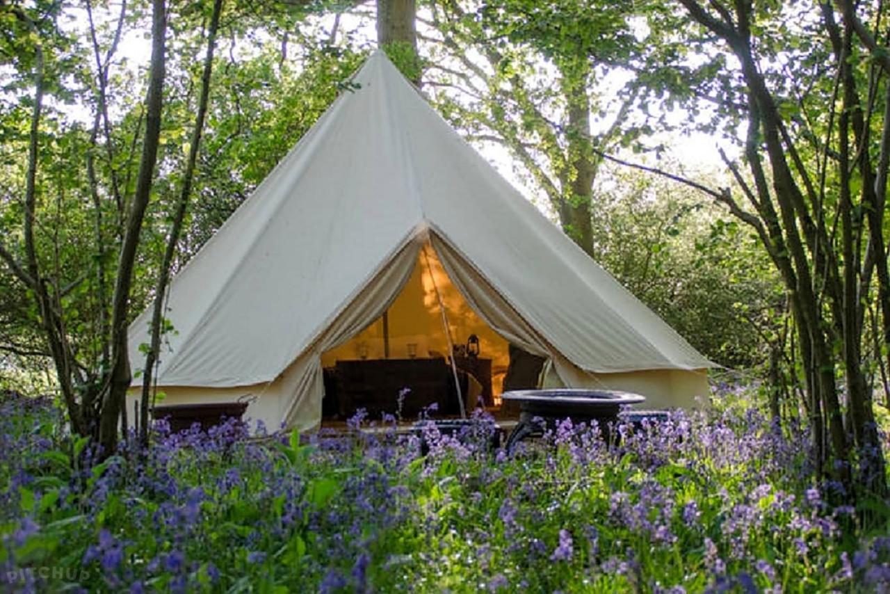 Oak Tree Farm Hotel Llanfynydd ภายนอก รูปภาพ
