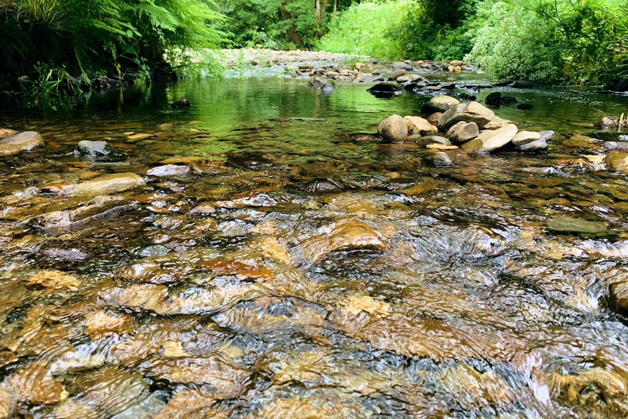Oak Tree Farm Hotel Llanfynydd ภายนอก รูปภาพ
